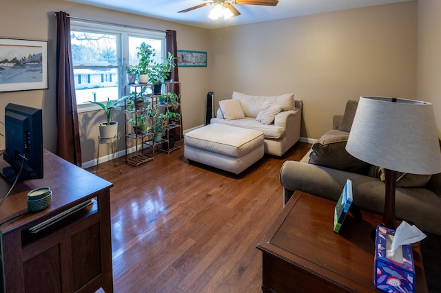 living room with wood-type flooring and ceiling fan