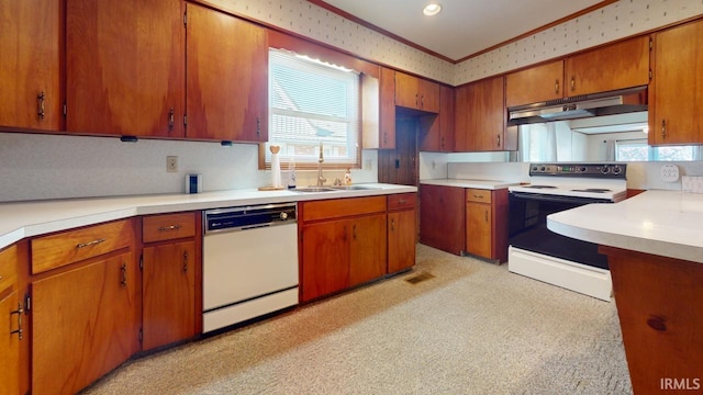 kitchen with sink, light colored carpet, and white appliances