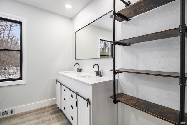 bathroom with vanity, a healthy amount of sunlight, and hardwood / wood-style flooring