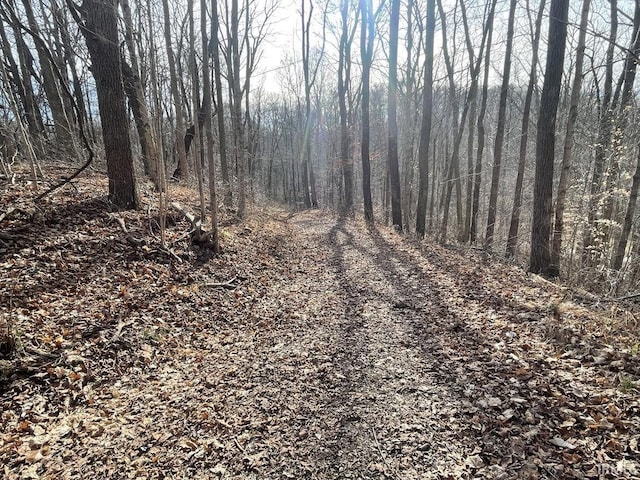 view of local wilderness