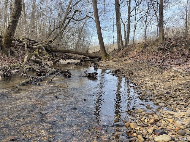 view of water feature