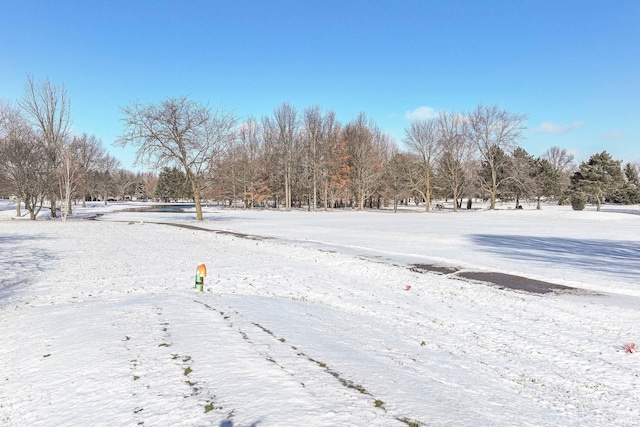 view of snowy yard