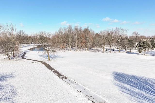 view of yard covered in snow