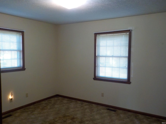 carpeted empty room with a wealth of natural light