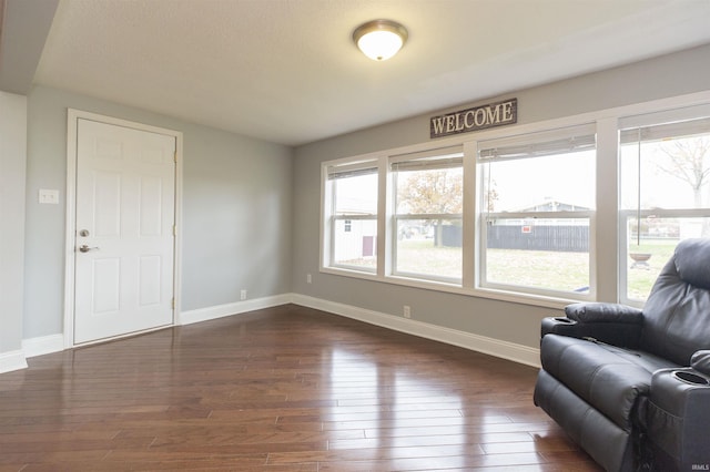 living room featuring dark hardwood / wood-style floors and a wealth of natural light