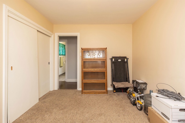 miscellaneous room with carpet floors