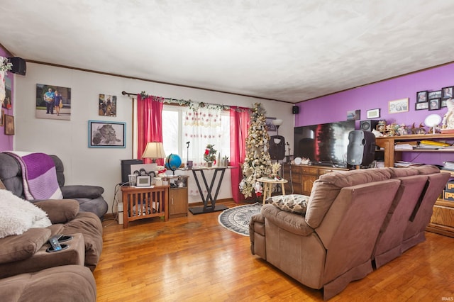 living room with hardwood / wood-style floors