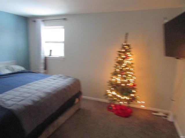 bedroom with carpet flooring