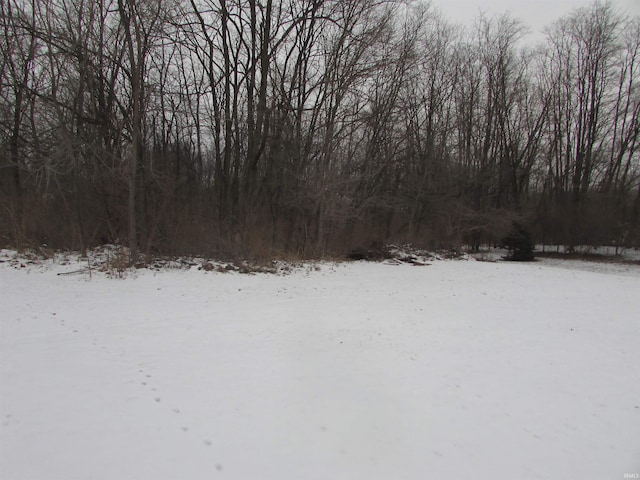 view of snowy yard