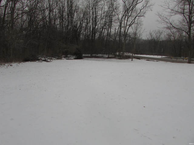 view of yard layered in snow