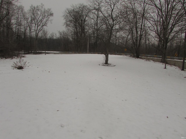 view of snowy yard