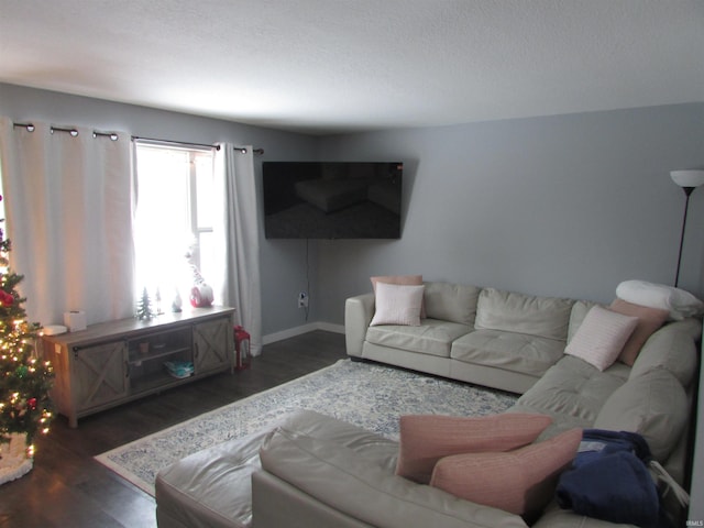 living room with dark hardwood / wood-style floors