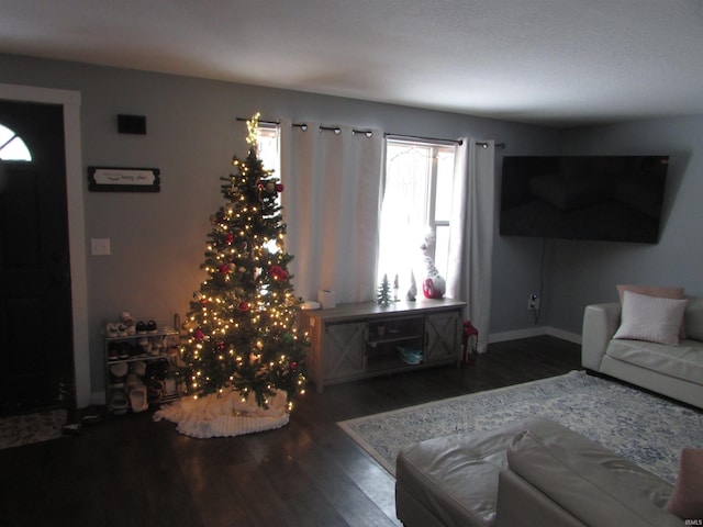 living room with dark wood-type flooring