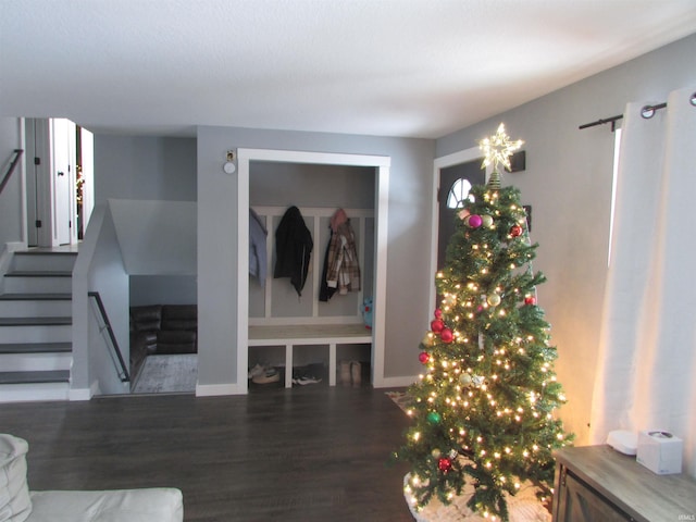 interior space with dark hardwood / wood-style flooring