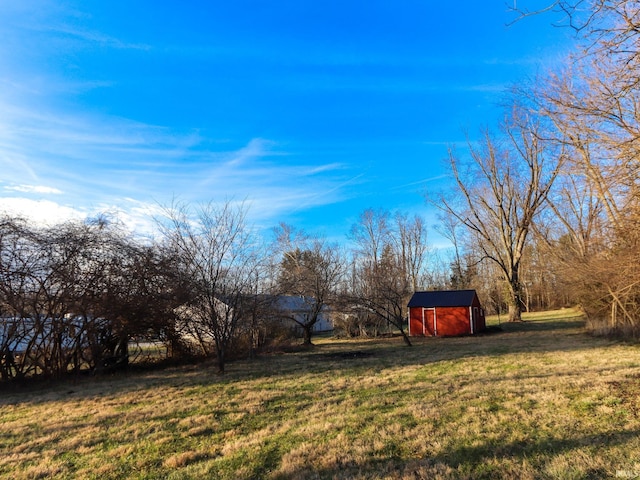 view of yard featuring a shed