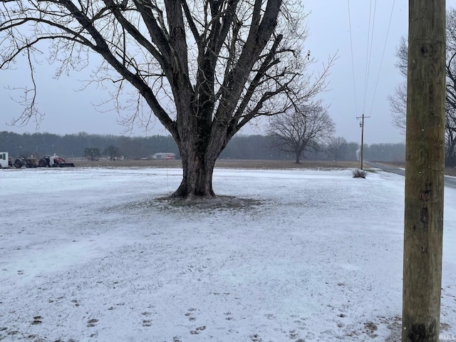 view of yard covered in snow