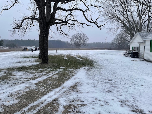 view of snowy yard