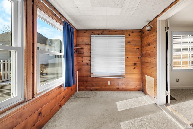 carpeted spare room featuring wooden walls