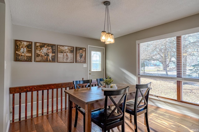 dining area with wood-type flooring, a textured ceiling, and a wealth of natural light