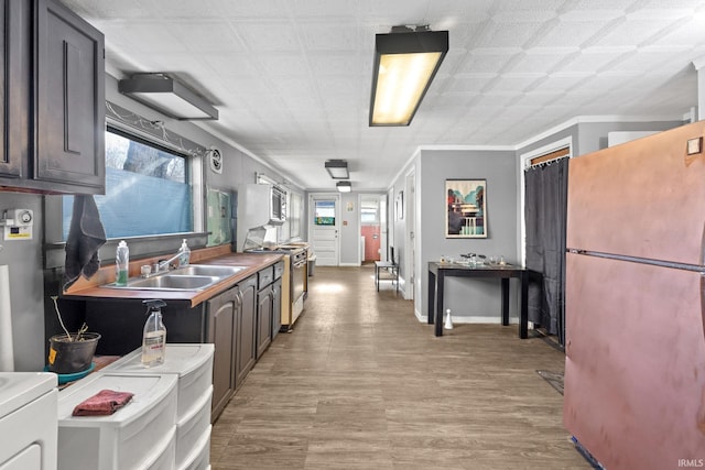 kitchen with sink, light hardwood / wood-style flooring, ornamental molding, dark brown cabinetry, and stainless steel appliances