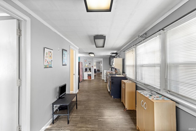 hallway with dark hardwood / wood-style floors and crown molding