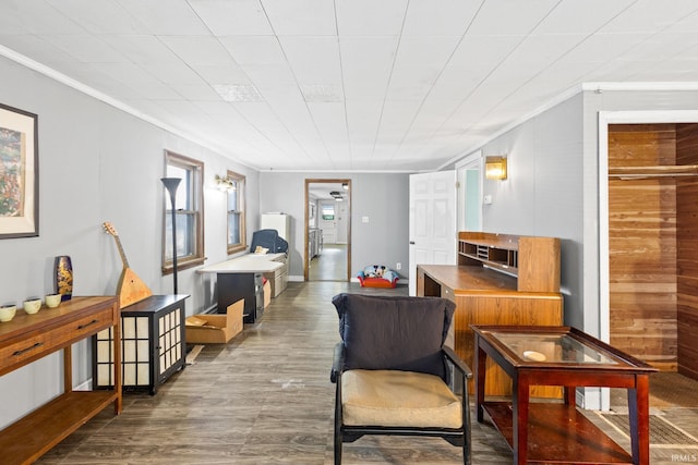 sitting room with crown molding and wood-type flooring