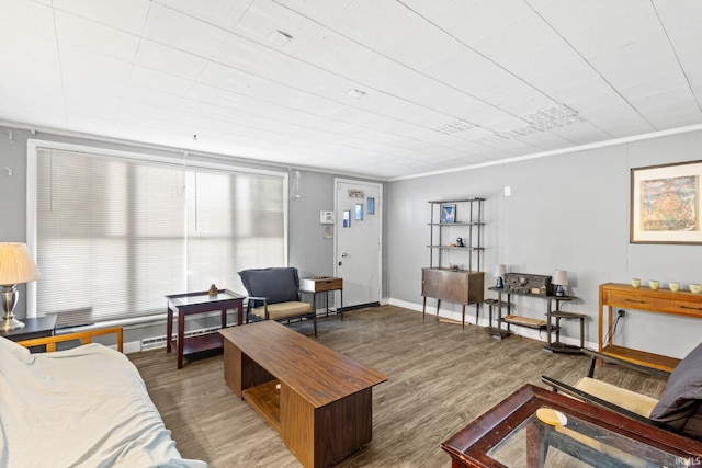 living room featuring hardwood / wood-style flooring