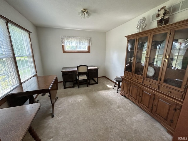 office with light colored carpet and plenty of natural light