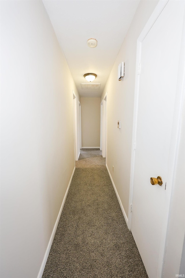 corridor featuring carpet flooring