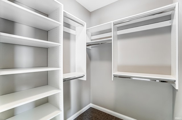 spacious closet with carpet flooring