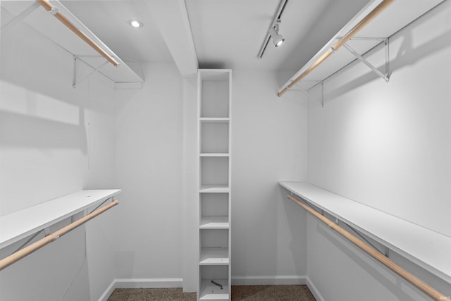 spacious closet with carpet flooring