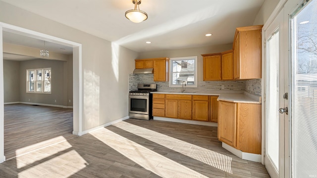 kitchen with decorative backsplash, stainless steel range, light hardwood / wood-style floors, and sink