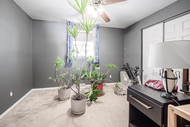 home office featuring ceiling fan and carpet