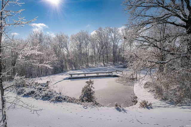 view of snowy yard