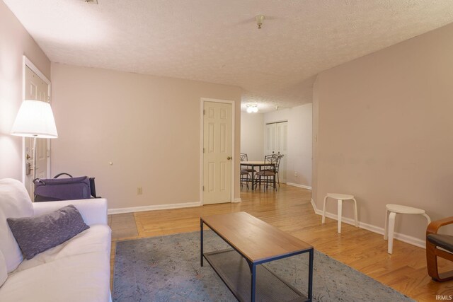 living room featuring wood-type flooring and a textured ceiling