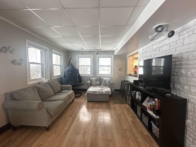 living room with a paneled ceiling and hardwood / wood-style floors