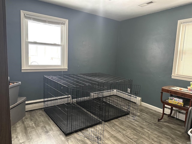 bedroom featuring wood-type flooring