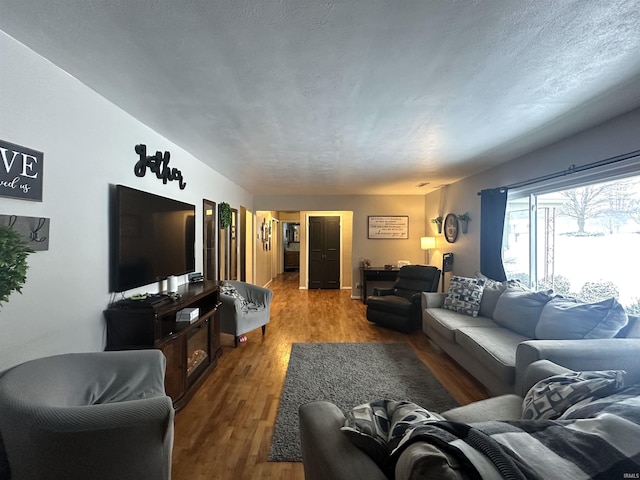 living room with hardwood / wood-style flooring