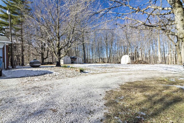 view of yard with a storage shed and an outdoor structure