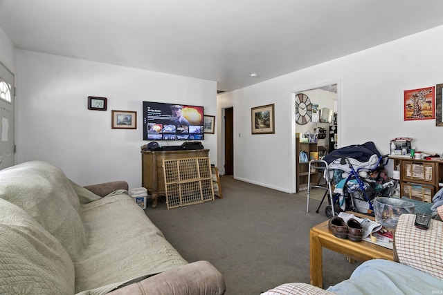 living area featuring carpet floors
