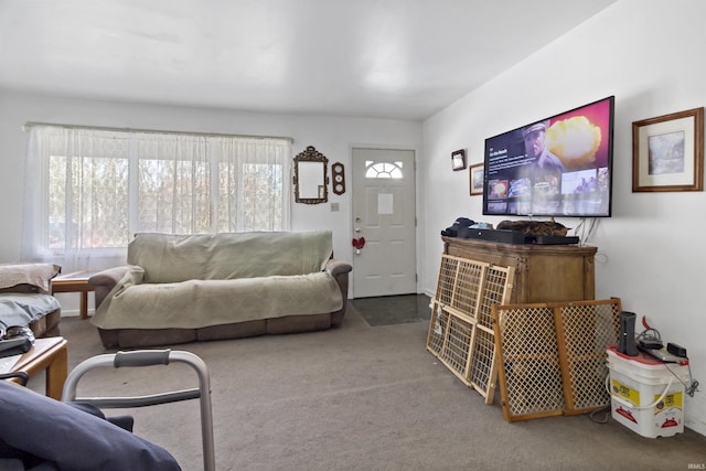 living room featuring carpet