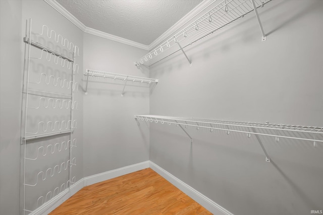 walk in closet featuring hardwood / wood-style floors