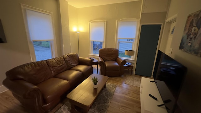 living room with a wealth of natural light and hardwood / wood-style floors