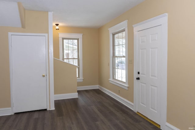 foyer entrance with a healthy amount of sunlight and dark wood-type flooring