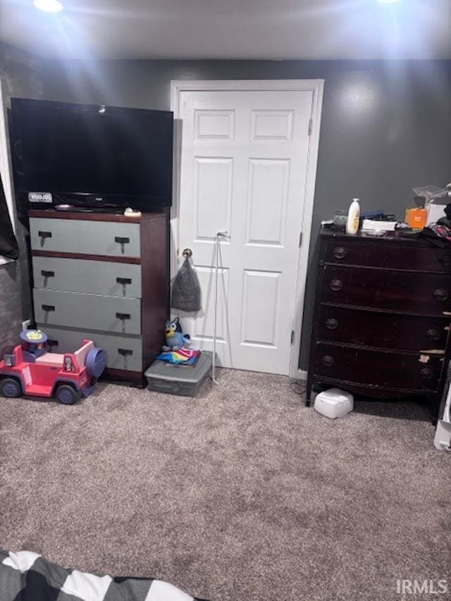 bedroom featuring carpet flooring