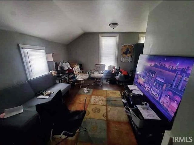 additional living space with vaulted ceiling and a wealth of natural light