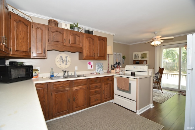 kitchen featuring dark hardwood / wood-style flooring, white electric range oven, ceiling fan, crown molding, and sink