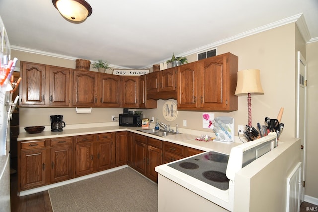 kitchen with dark hardwood / wood-style floors, crown molding, stove, and sink