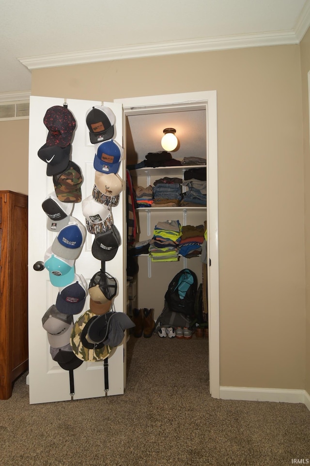 walk in closet featuring carpet flooring