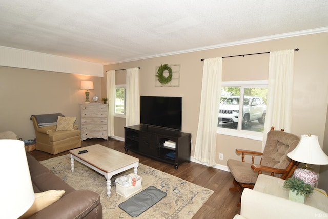 living room featuring a textured ceiling, crown molding, and dark wood-type flooring